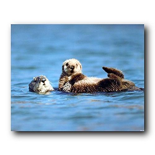 Sea Otter &amp; Pup Baby海洋野生生物動物壁装飾アートプリントポスター16?x 20