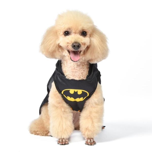 DC Comics Batman Dog Costume, Size Small l | Best ...