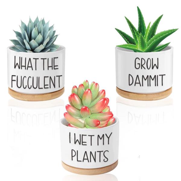 Funny Succulent Pots, 3.15 inch Ceramic Flower Pla...