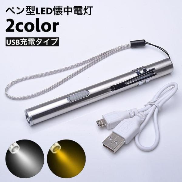 懐中電灯 ペンライト LED 充電式 USB充電 ライト 電気 小型 コンパクト ミニサイズ ナース...