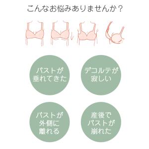 ブラジャー ショーツ セット 補正 谷間 ノン...の詳細画像4