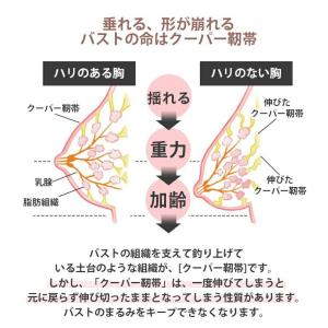 ブラショーツ 補正 谷間 ノンワイヤーブラ 美...の詳細画像4