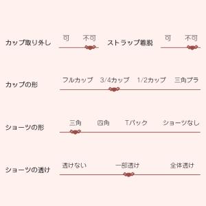 ブラジャー ショーツ ブラショーツ やわらか ...の詳細画像2