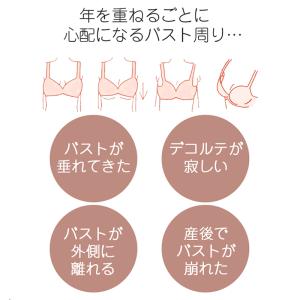 ブラジャー ショーツ セット 補正 谷間 ノン...の詳細画像1