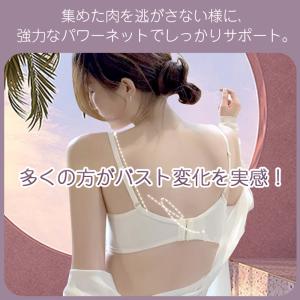 ブラジャー ショーツ セット 補正 谷間 ノン...の詳細画像2