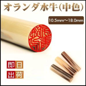 銀行印 作成 印鑑 はんこ ハンコ 実印 即日 実印 女性 男性 作成 銀行印 認印 安い オランダ水牛印鑑【中色】10.5ｍｍ〜18.0ｍｍ あすつく