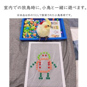 鳥のおもちゃ インコ おもちゃ バードトイ 鳥...の詳細画像2