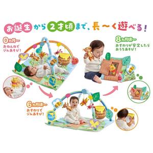 特別価格 ベビージム 新生児 てあそびいっぱい...の詳細画像3