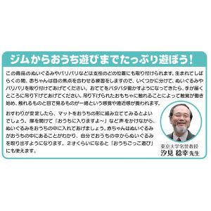 特別価格 ベビージム 新生児 てあそびいっぱい...の詳細画像4