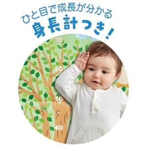 特別価格 ベビージム 新生児 てあそびいっぱい...の詳細画像5