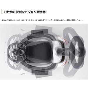 乗用玩具 足けり 1歳 メルセデスベンツ AM...の詳細画像5