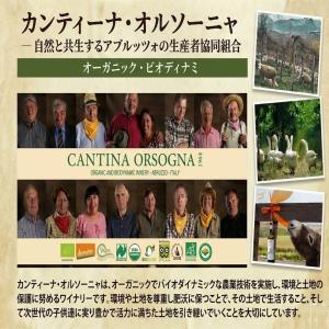 3箱セット ルナーリア 赤 白 オレンジ ワイ...の詳細画像4