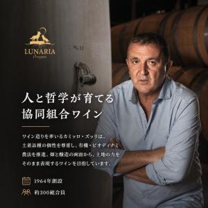 3箱セット ルナーリア 赤 白 オレンジ ワイ...の詳細画像5