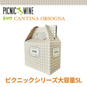 送料無料 ピクニック パッセリーナ BIB 5000ml【CANTINA ORSOGルナーリア BOXワイン｜pinotch