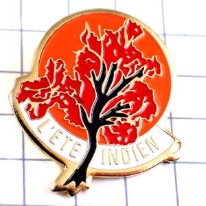 ピンバッジ・秋の小春日和インドの夏インディアンサマー◆フランス限定ピンズ◆レアなヴィンテージものピン...