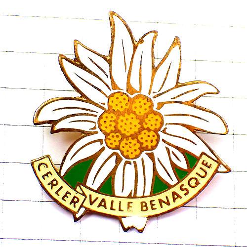 ピンバッジ・エーデルワイスの花ピレネー山脈 EDELWEISS CERLER BENASQUE PY...