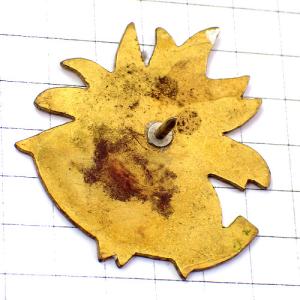 ピンバッジ・エーデルワイスの花ピレネー山脈 E...の詳細画像1