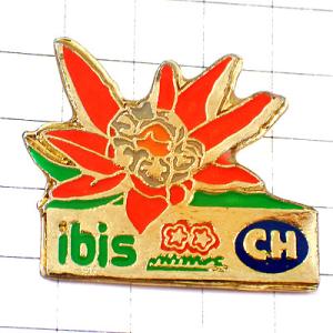 ピンバッジ・イビスホテルCHエーデルワイスの花 IBIS HOTEL SWISS◆フランス限定ピンズ...