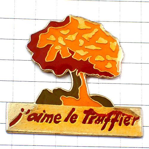 ピンバッジ・茶色い秋の紅葉する木◆フランス限定ピンズ◆レアなヴィンテージものピンバッチ
