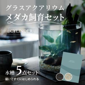 水槽　メダカ飼育セット　おしゃれなグラスアクアリウムセット CYLINDER  金魚　熱帯魚