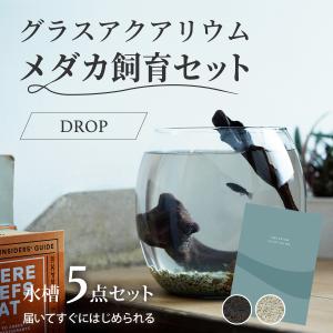 水槽　メダカ飼育セット おしゃれなグラスアクアリウムセット DROP  金魚　熱帯魚　ベタ