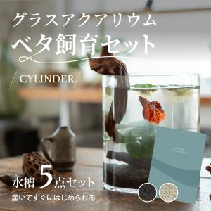 水槽　ベタ飼育セット おしゃれなグラスアクアリウムセット CYLINDER  メダカ　金魚　熱帯魚　20cm｜PINTO STORE