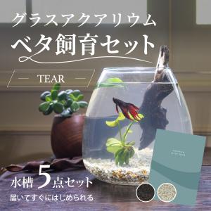 水槽　ベタ飼育セット おしゃれなグラスアクアリウムセット TEAR メダカ　金魚　熱帯魚　20cm｜PINTO STORE