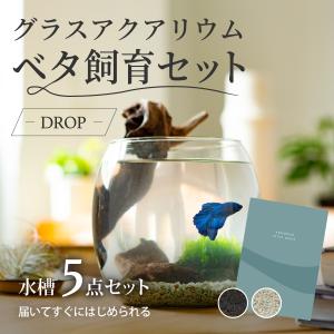 水槽 ベタ 飼育 セット おしゃれ グラスアクアリウム 流木