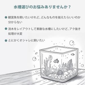 ガラス水槽 ベタ 飼育 セット おしゃれ グラ...の詳細画像4