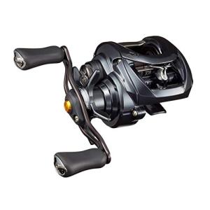 DAIWA（ダイワ） 20 タトゥーラ SV TW 103XHL / TATULA ベイトリール