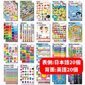 ナウエデュ幼児知育ポスター40種類(両面:ひらが...の商品画像