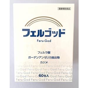 フェルゴッド　2ｇ×60包