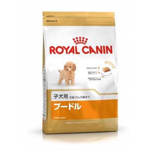 ロイヤルカナンBHNプードル子犬用800g