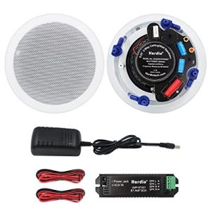 Herdio 300W Bluetooth 天井埋め込み型スピーカー 2ウェイ/ラウンド型