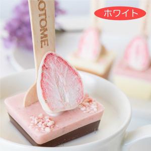 記事番号:34423/アイテムID:157619の画像