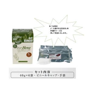 配送料無料 テンスター ファインヘナ ディープブラウン 40g×6袋入(外箱たたんで同梱)