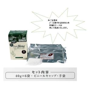 配送料無料 テンスター ファインヘナ ダークブラウン 40g×6袋入(外箱たたんで同梱)｜piony