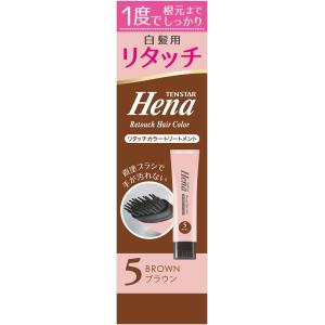 テンスター ヘナ カラートリートメント チャコールブラウン 250g【6c