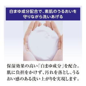 配送料無料 専科 パーフェクトバブル フォーボ...の詳細画像3
