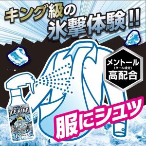 配送料無料アイスノン シャツミスト ICEKI...の詳細画像3