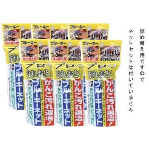 配送料無料ブルーキーネット プロの汚れおとし詰め替え用 （95g） ×6個セット（298）｜piony