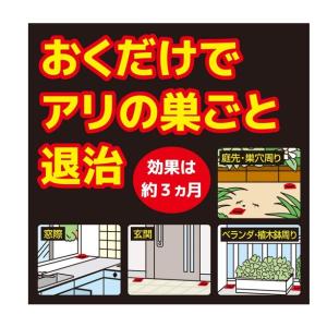 配送料無料 KINCHOアリがいなくなるコンバ...の詳細画像2