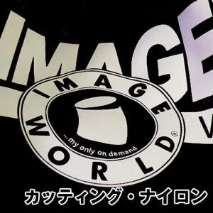 アイロンプリントシート カッティング・ナイロン...の詳細画像2
