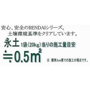 送料無料 固まる土 永土 ( エード ) 20...の詳細画像1