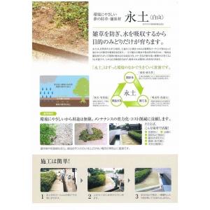 送料無料 固まる土 永土 ( エード ) 20...の詳細画像2