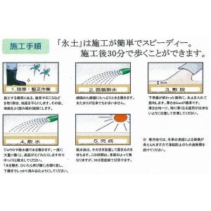 送料無料 固まる土 永土 ( エード ) 20...の詳細画像3