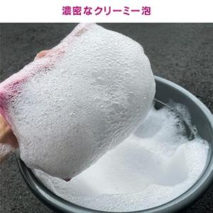 ペルシード 洗車ケミカル カーシャンプー ドロ...の詳細画像2