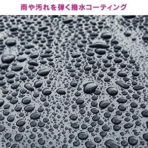 ペルシード 洗車ケミカル カーシャンプー ドロ...の詳細画像4