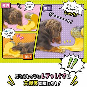 ドギーマン わんこのでるでる自飯器 犬の詳細画像4