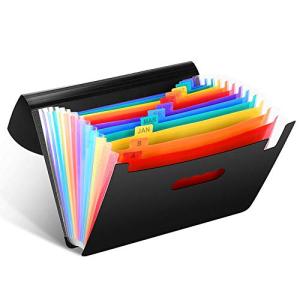 ファイルボックス 書類収納ケース 拡張フォルダ ドキュメントスタンド CNASA A4